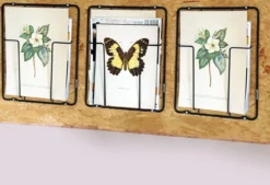 Puhlmann Frame 1