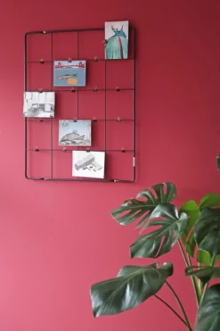 Puhlmann Memory Frame Compact