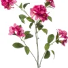 Rhododendron