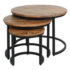 Salontafel Erjan Naturel - Set van 3