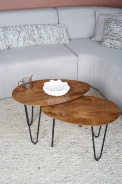 Salontafel Fabio Espresso Mangohout – Set van 2