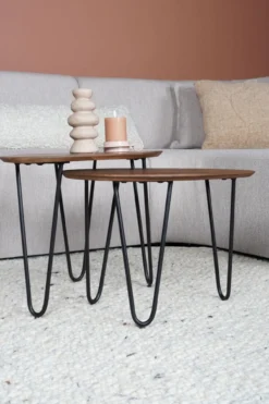 Salontafel Fabio Espresso Mangohout – Set van 2