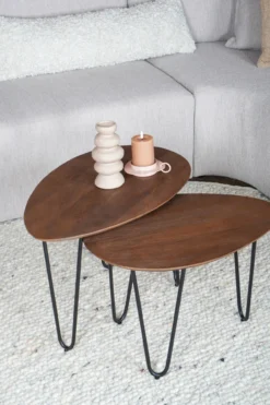 Salontafel Fabio Mangohout – Set van 2