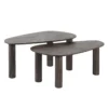 Salontafel Kib Duo Organisch - set van 2