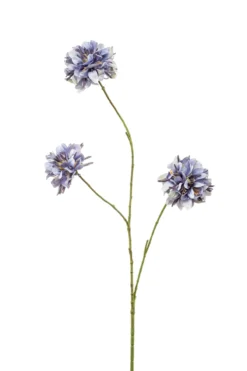 Scabiosa spray blue