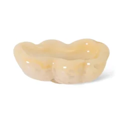 Schaal glas oyster
