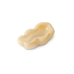 Schaal glas oyster