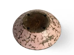 Schaal hout roze uniek
