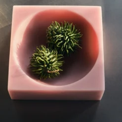 Schaal Pop cube L pink
