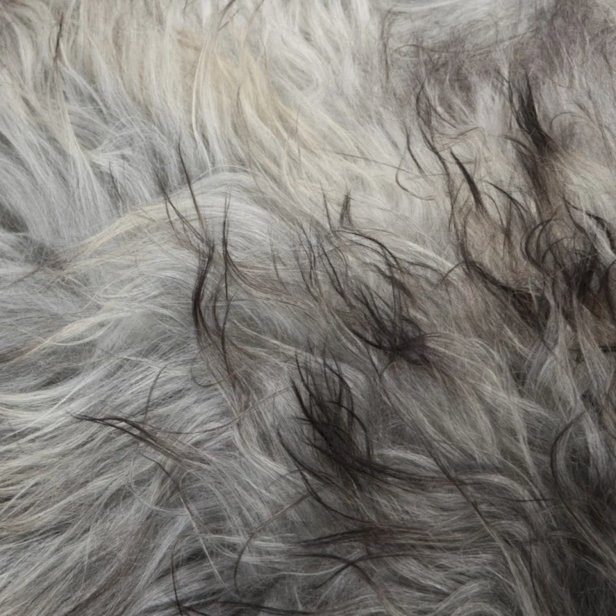 Schapenvacht icelandic natural grey 140×210 cm