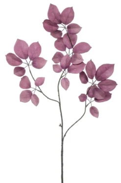 Schefflera spray
