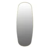 Spiegel Capsule Curve goud 60x160 cm