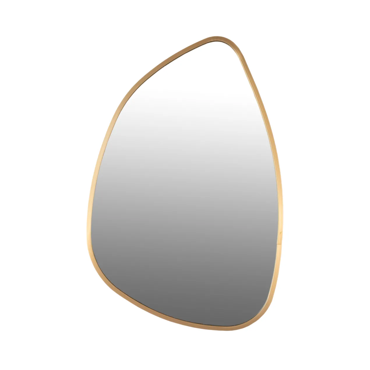 Spiegel pebble 40x60 cm goud