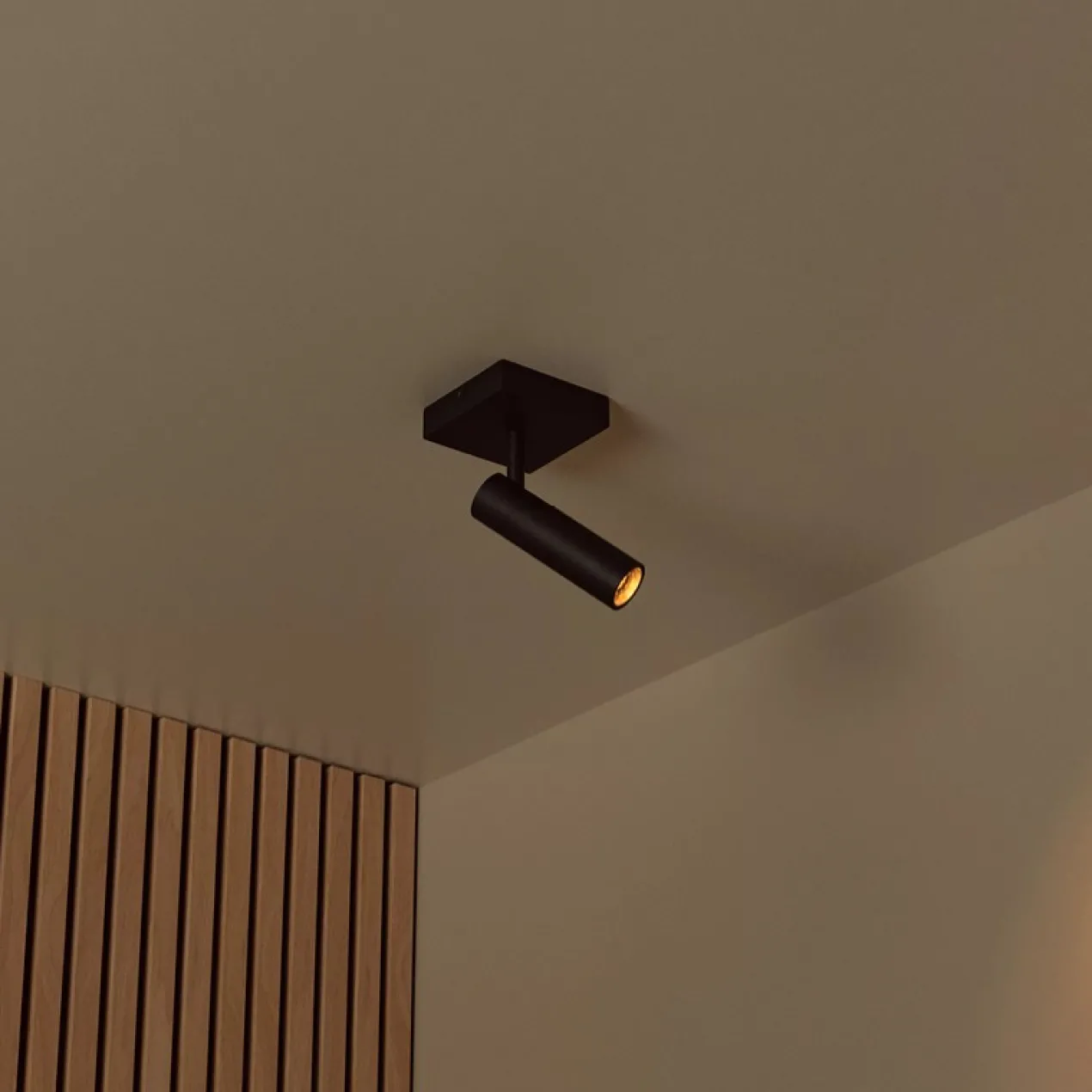 Spot Grado plafond 1-lichts zwart