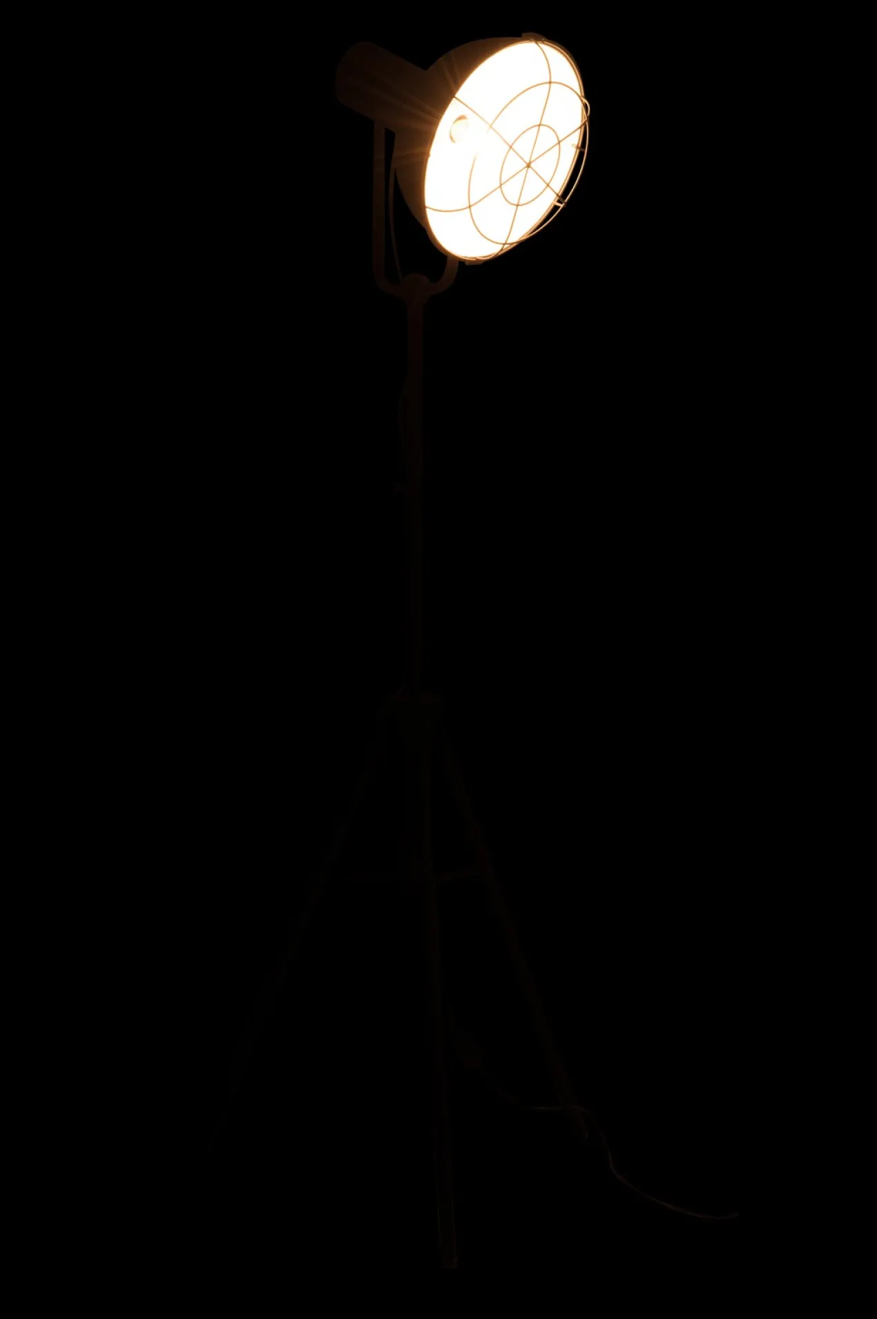 Staande lamp Steven Industriële Staande lamp Steven zwart