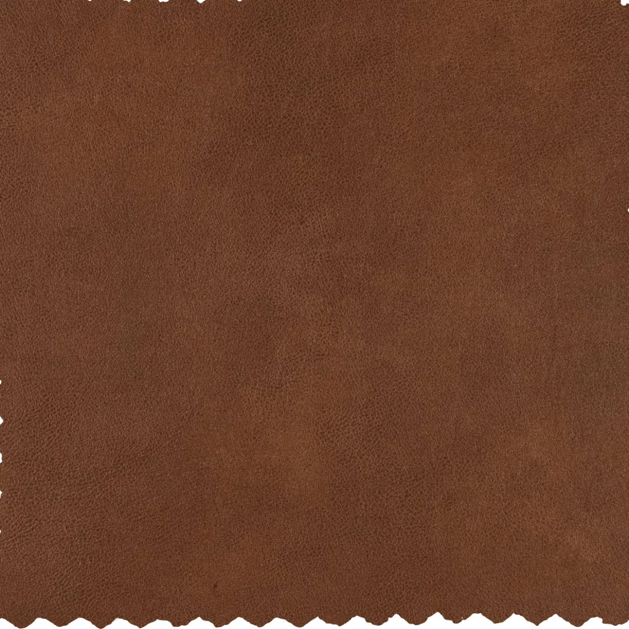 Statement xl 4-zits bank 372 cm ecoleer cognac