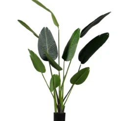 Strelitzia kunstplant groen 164 cm
