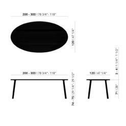 Studio HENK tafel Butterfly Ovaal - zwart frame, hardwax light 3041 300 x 120 | HWO NL 3041 | Rechte Rand | Frame Zwart