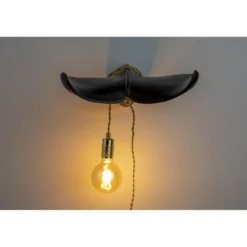 The tail will follow wall lamp black