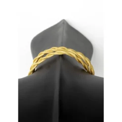 The tail will follow wall lamp black
