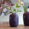 Vaas Artic M Ø25 cm purple