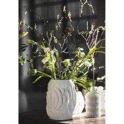 Vaas Botanica
