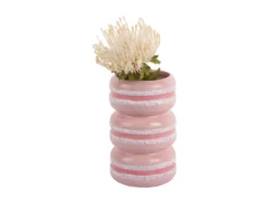 Vaas Macaron - Zachtroze