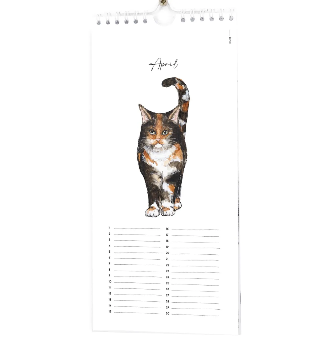 Verjaardagskalender Bintje dieren Kalender Bintje DierenKalender Bintje dieren