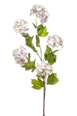 Viburnum spray blue
