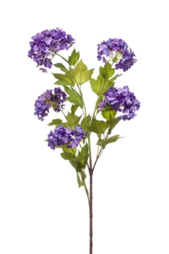 Viburnum spray purple