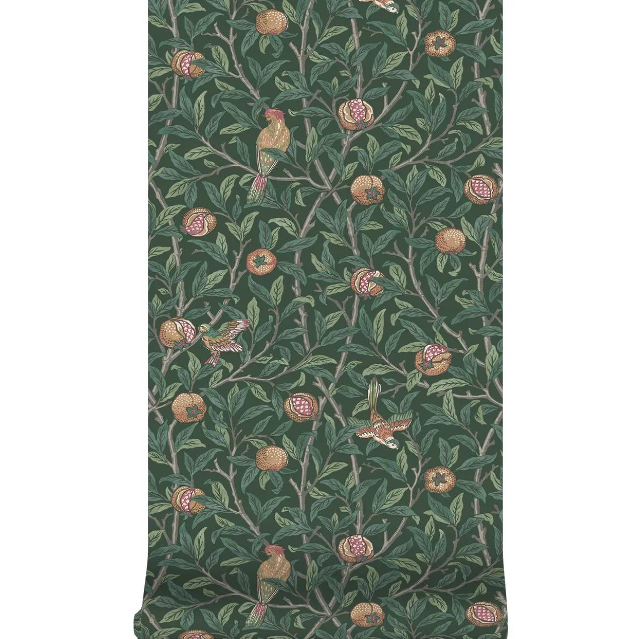 Vliesbehang bird & pomegranate deep green