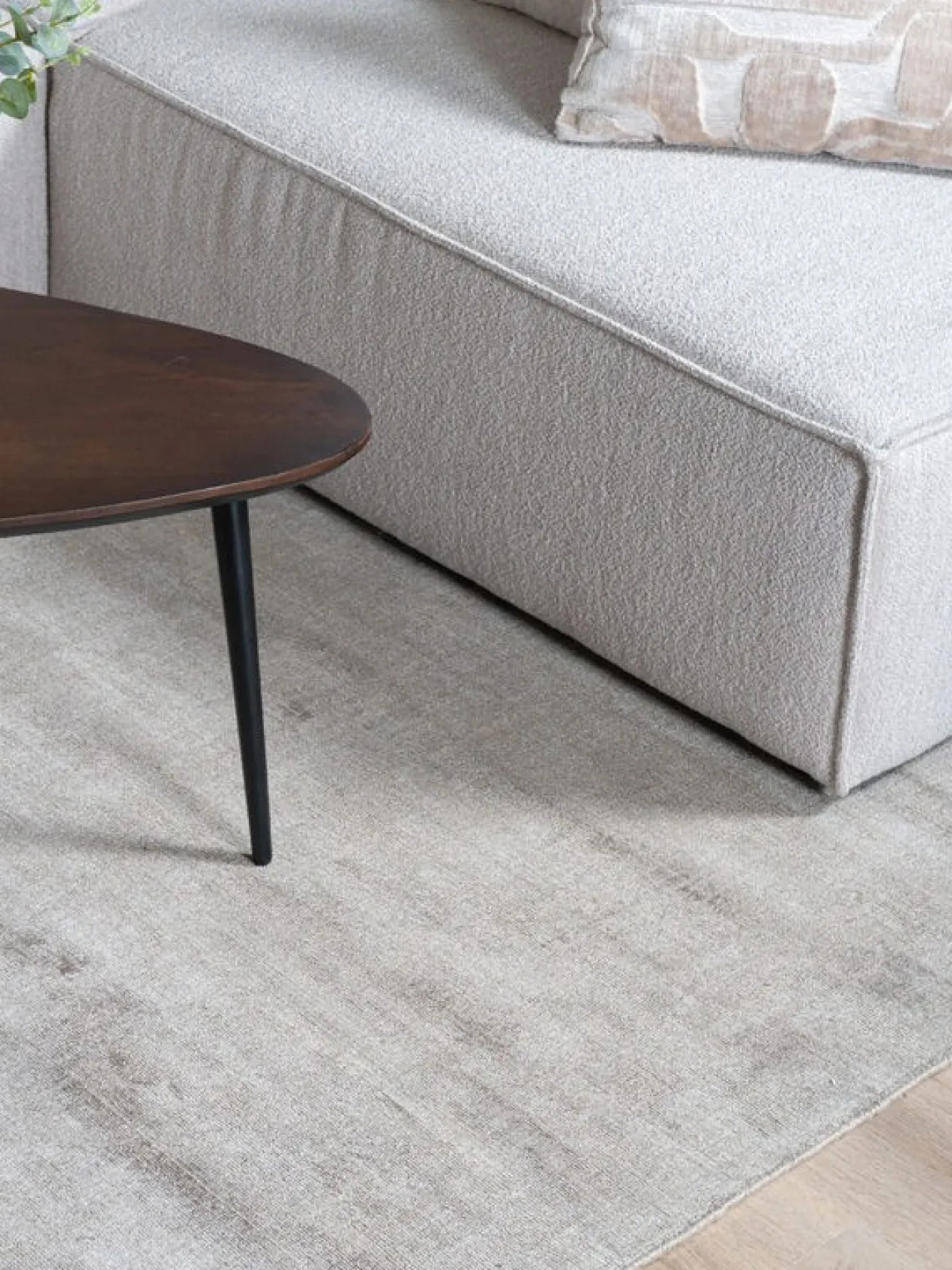 Vloerkleed Cos Taupe - 200 x 280 cm