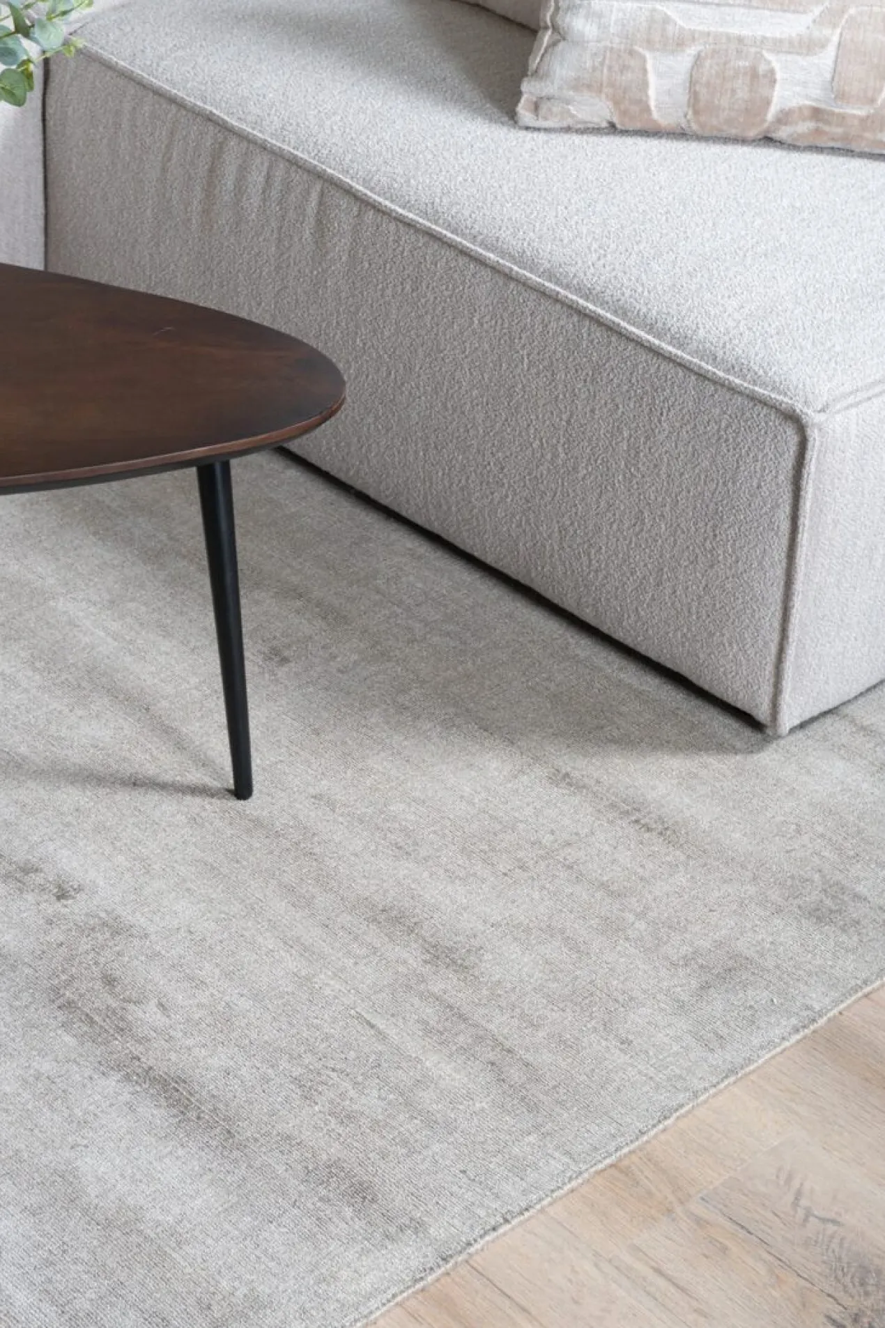 Vloerkleed Cos Taupe - 240 x 340 cm