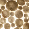 Vloerlamp shell coins white 150 cm
