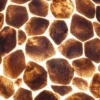 vloerlamp turtle gold capiz 150 cm