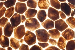 vloerlamp turtle gold capiz 150 cm
