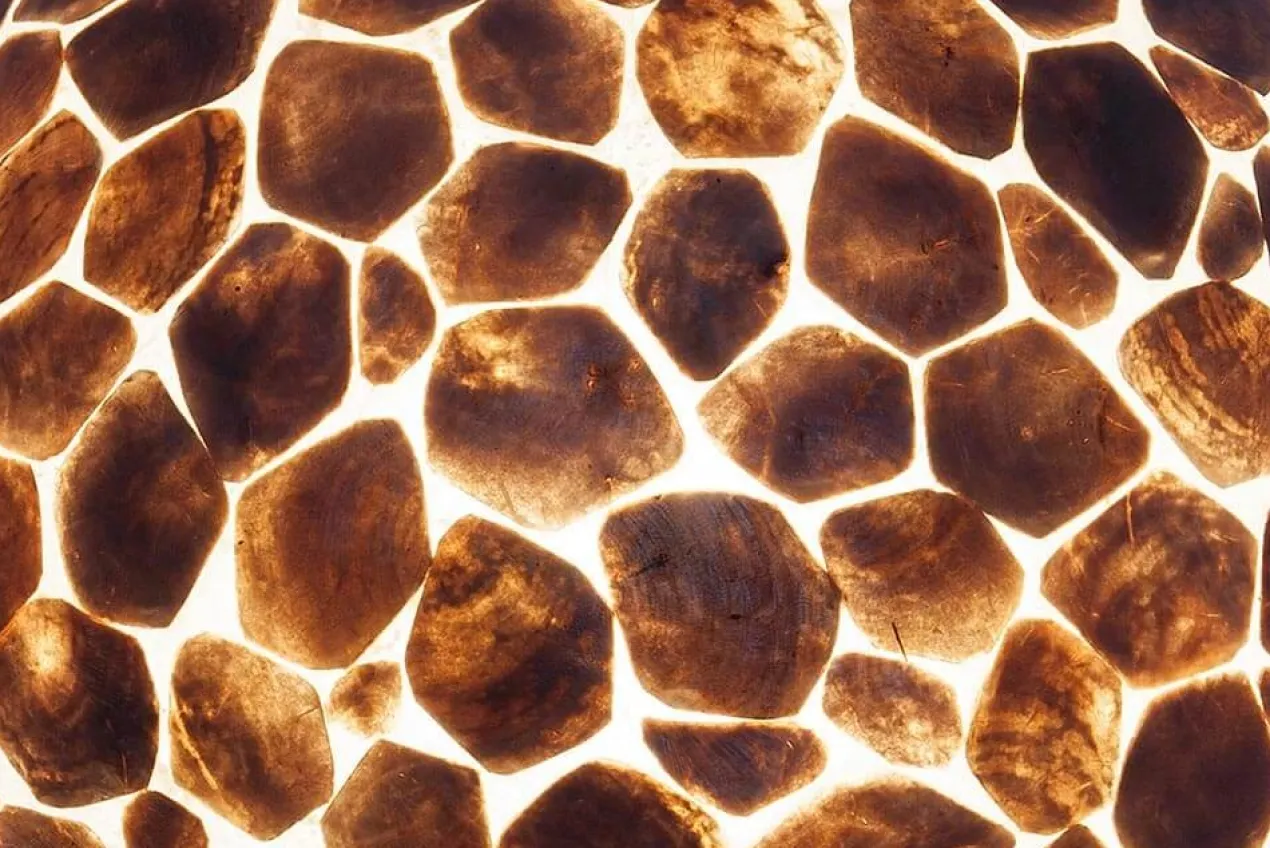 vloerlamp turtle gold capiz 150 cm