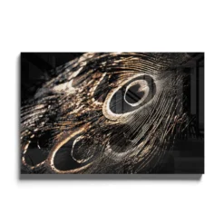 Walljar acrylglas schilderij - Peacock Feathers Acrylglas schilderij - 60 x 90 cm