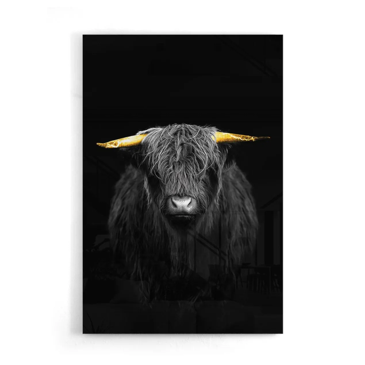 Walljar acrylglas schilderij - Gold Ox Horns Acrylglas schilderij - 120 x 180 cm