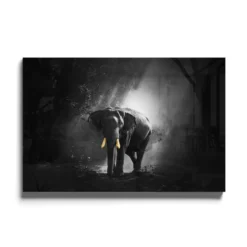 Walljar acrylglas schilderij - Golden Elephant Acrylglas schilderij - 80 x 120 cm