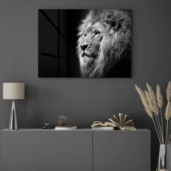 Walljar acrylglas schilderij - Gazing Lion Acrylglas schilderij - 80 x 120 cm
