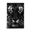 Walljar acrylglas schilderij - Facing Tiger Acrylglas schilderij - 60 x 90 cm