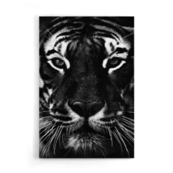 Walljar acrylglas schilderij - Facing Tiger Acrylglas schilderij - 80 x 120 cm