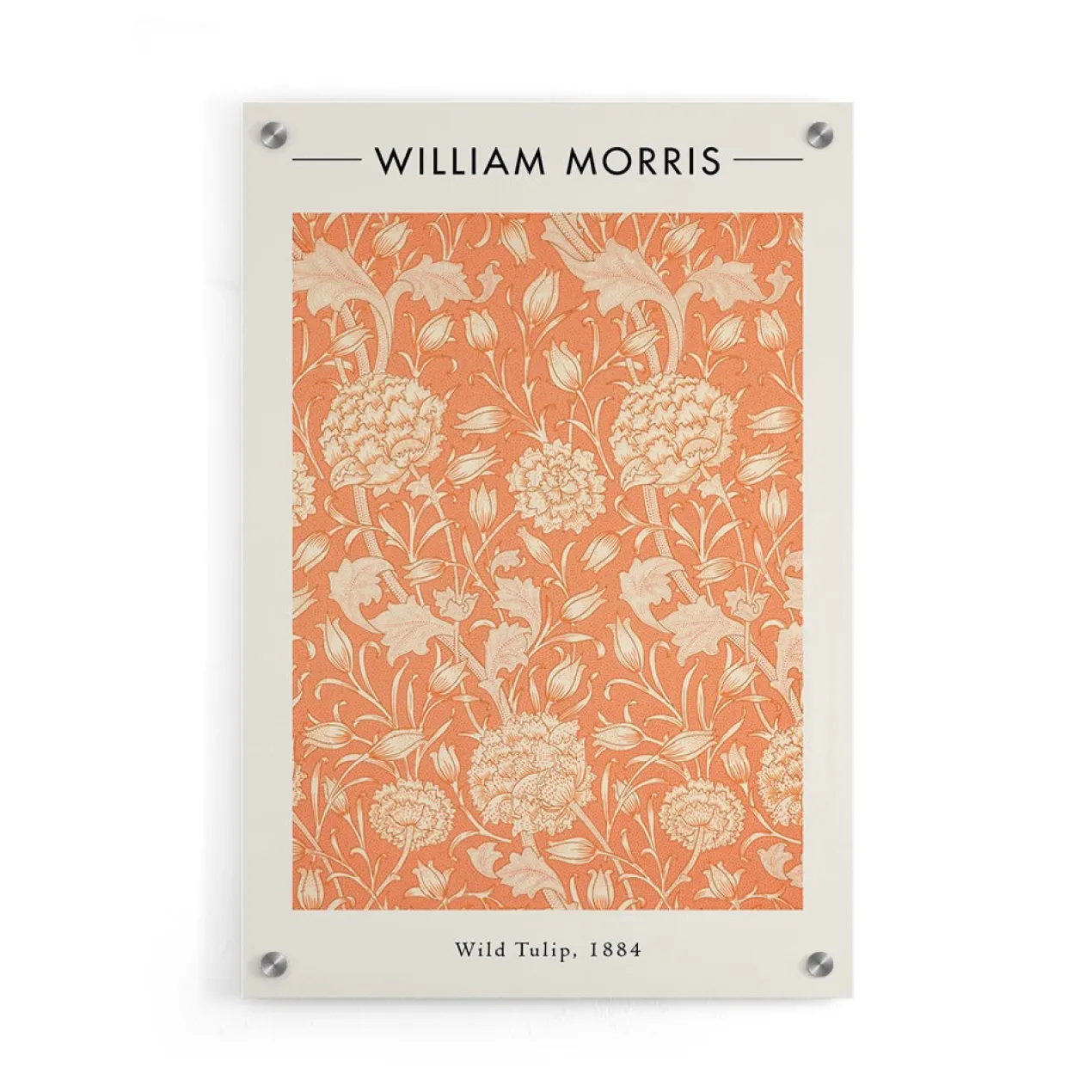 Walljar - plexiglas schilderij - william morris - wild tulip Plexiglas schilderij - 80 x 120 cm