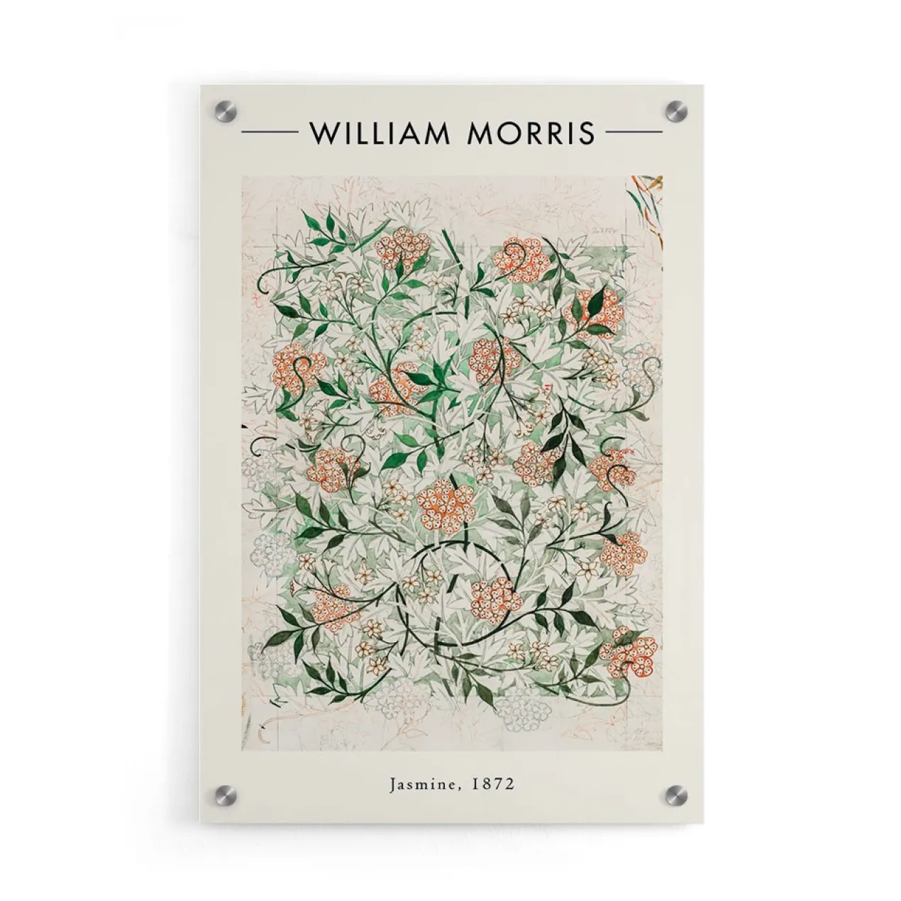 Walljar plexiglas schilderij - William Morris - Jasmine Plexiglas schilderij - 120 x 180 cm