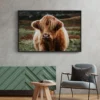 Walljar plexiglas schilderij - Schotse Hooglander Plexiglas schilderij - 80 x 120 cm