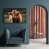 Walljar plexiglas schilderij - Schotse Hooglander Plexiglas schilderij - 150 x 225 cm