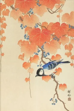 Walljar poster ingelijst - Ohara Koson - Great Tit On Paulownia Branch Poster ingelijst - 50 x 70 cm