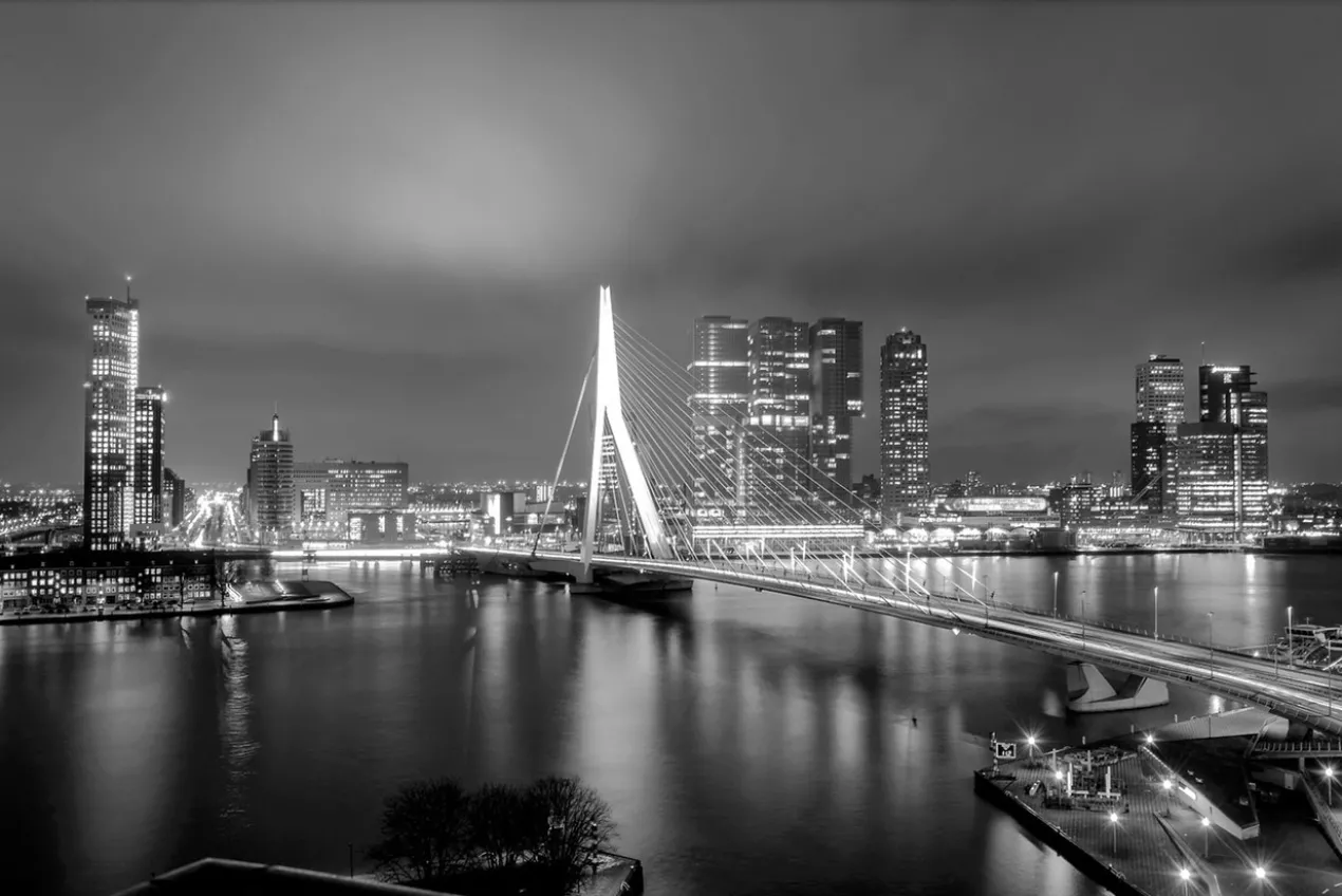 Walljar poster ingelijst - Rotterdam Skyline II Poster ingelijst - 50 x 70 cm
