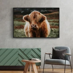 Walljar poster ingelijst - Schotse Hooglander Poster ingelijst - 50 x 70 cm